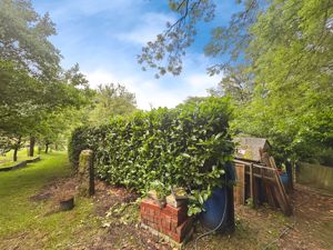 Photo 11- click for photo gallery